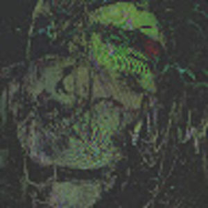 Meet your Posher, Riley